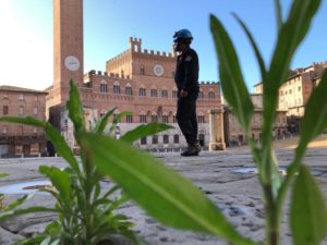 Vecchie fiamme, vino, olio e lavoro in nero: il campionario delle domande pi&ugrave; curiose ai carabinieri per la fase 2