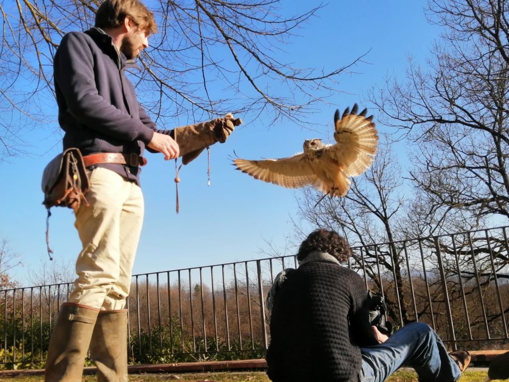 "Animal House", il nuovo format di Siena Tv dedicato al mondo degli animali