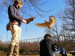 "Animal House", il nuovo format di Siena Tv dedicato al mondo degli animali
