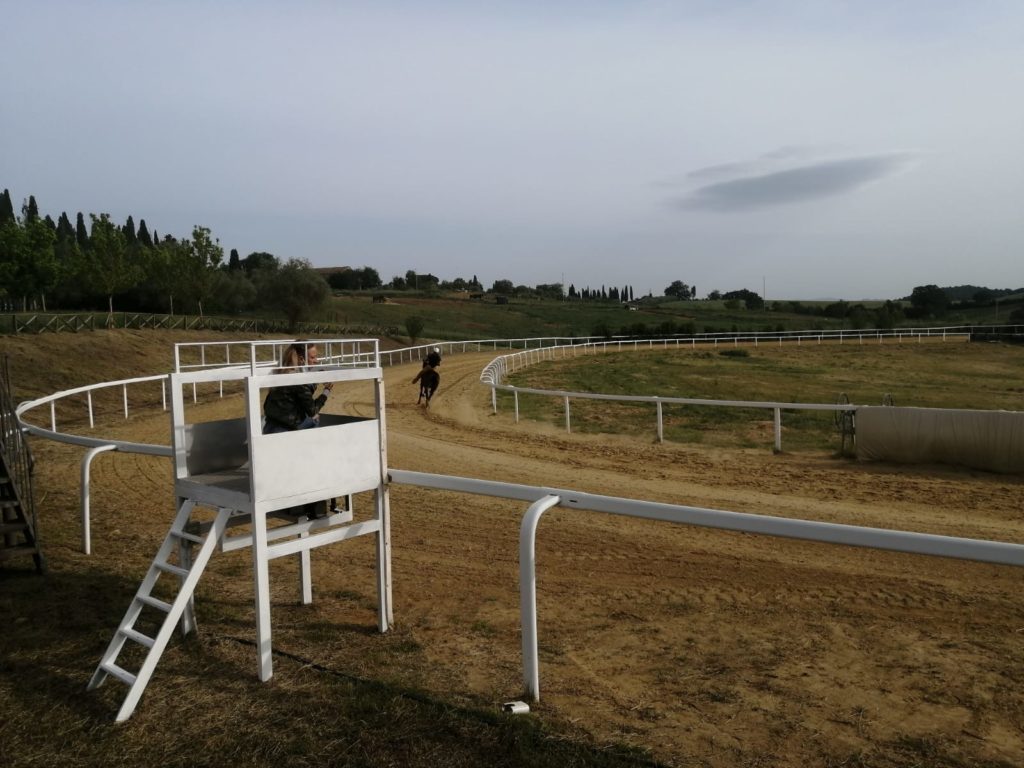 Mociano riapre, il brivido dei cavalli al galoppo