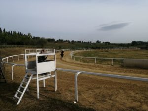 Mociano riapre, il brivido dei cavalli al galoppo