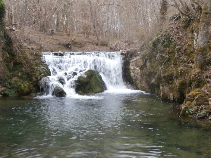 Val di Merse, Radicondoli, Casole d'Elsa verso il Distretto Bio