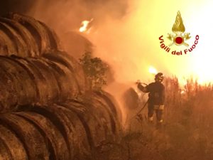 Monticiano, oltre mille rotoballe in fiamme