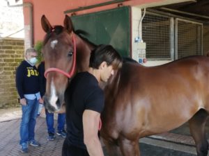 Straordinario: solo se ci fossero le condizioni