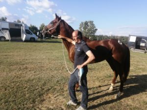 Cavalli da Palio, il comune attento a sicurezza e doping