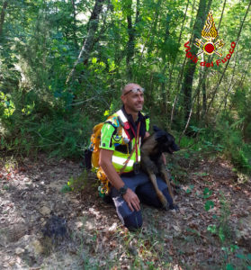 Sovicille, ritrovato l'uomo disperso nel bosco: nel gruppo di recupero anche il cane 'Drago'