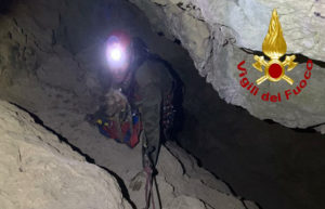 Cane bloccato in una buca, i vigili del fuoco lo salvano