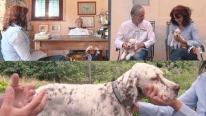 Nencini's ospite di Animal House questa sera su Radio Siena Tv