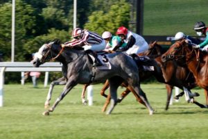 Auyantepui, la grigia allevata a Siena, vince le Oaks d'Italia