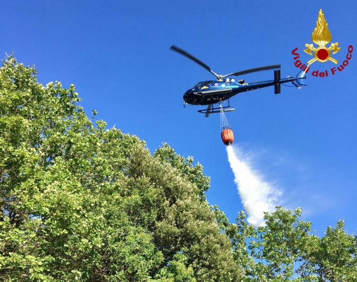 Incendio in un bosco, intervento dei vigili del fuoco