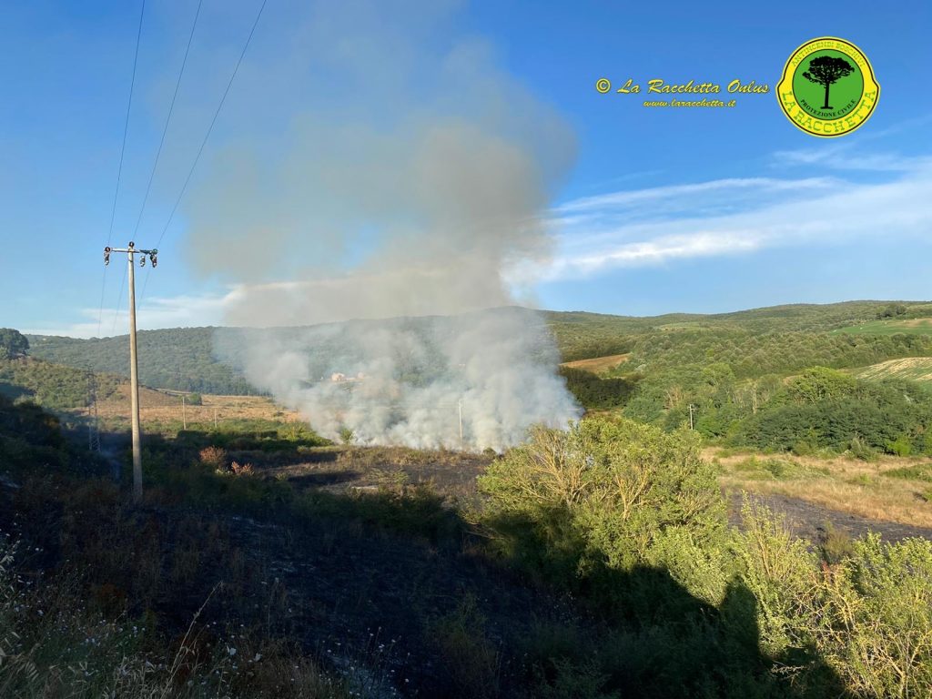 Incendio boschivo ad Armaiolo