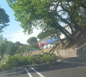 Il vento danneggia lo stadio "Antonio Scialoja" e un albero blocca il traffico in viale Toselli