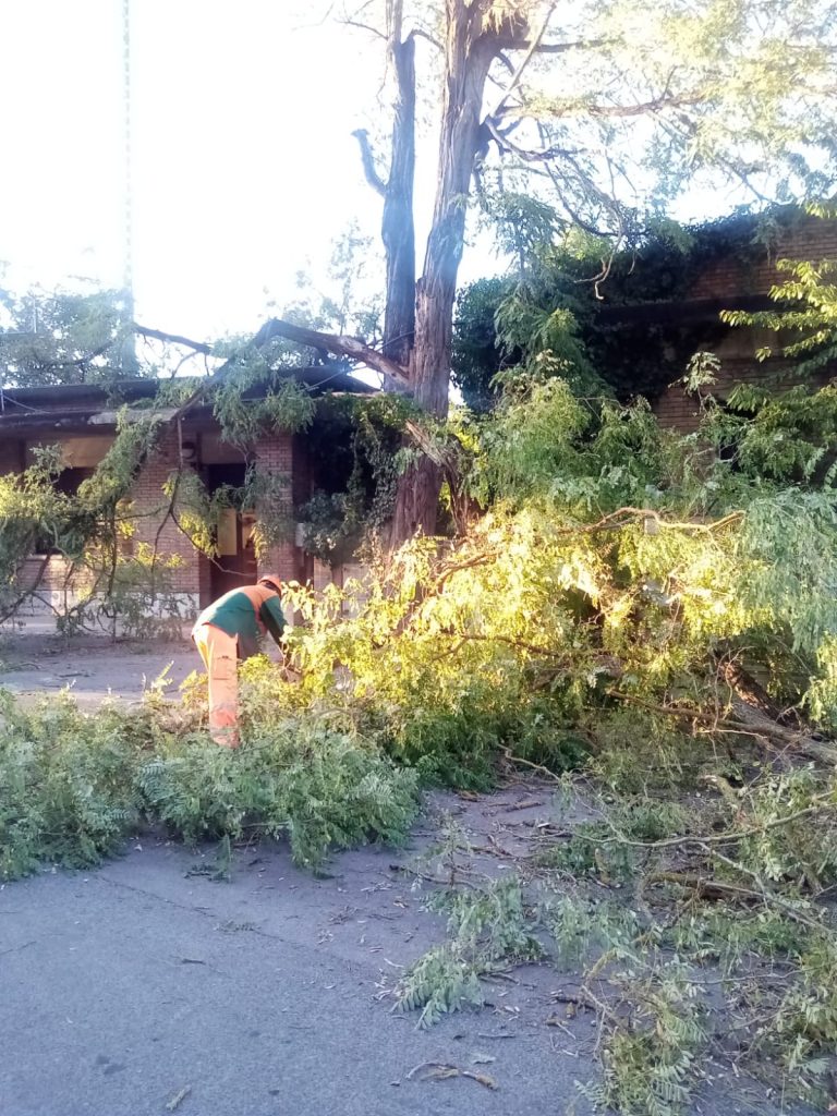 Albero crolla sulla sede dell'Associazione Radioamatori "Il Palio"