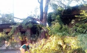 Albero crolla sulla sede dell'Associazione Radioamatori "Il Palio"