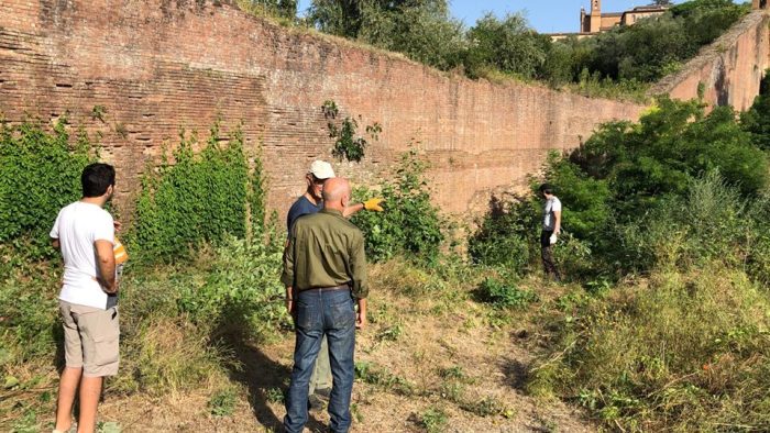 Iniziata la pulizia delle mura cittadine: contrade e associazioni al lavoro