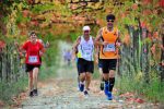 Tutti i numeri e gli eventi della 19^ EcoMaratona del Chianti Classico