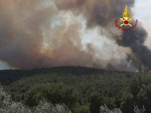 Tenuta di Bagnolo, il forte vento alimenta le fiamme: bruciati oltre 50 ettari
