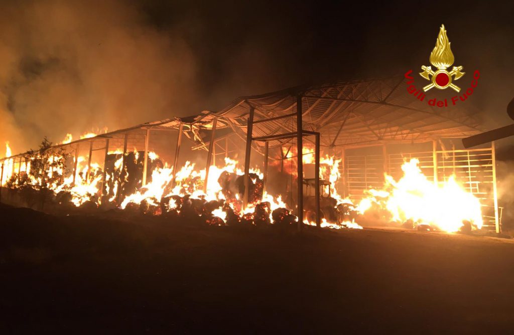 Pauroso incendio a Suvignano, brucia un capannone di 2000 mq