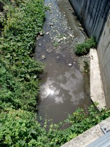 Reflui fognari e moria di pesci nel torrente Riluogo: arriva l'ennesima denuncia alle autorità competenti