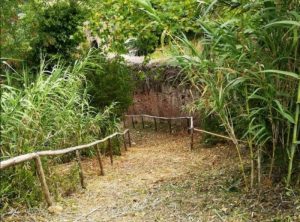 Associazione Le Mura: reso agibile il tratto da Santo Spirito alla Valle di Follonica