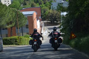 Lite tra due condomini danneggia il terzo: scoperta la sua coltivazione di cannabis