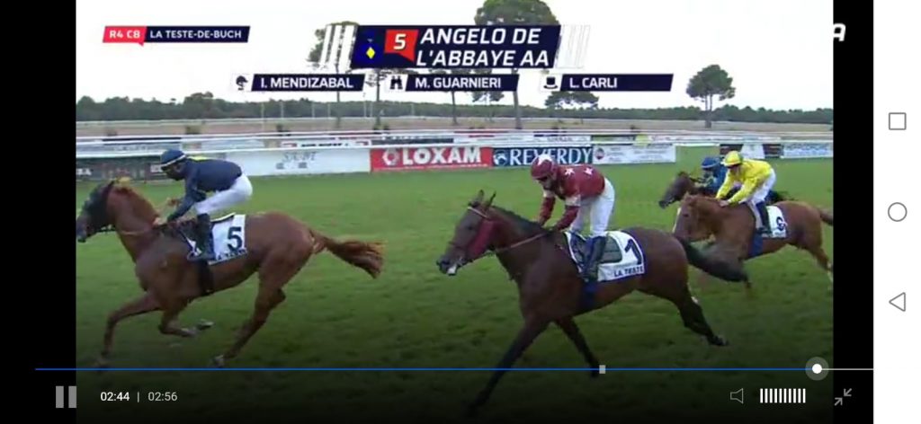 Ippica senese: Guarnieri e Carli vincono a La Teste De Buch il premio per anglo arabi