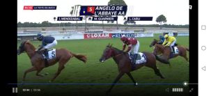 Ippica senese: Guarnieri e Carli vincono a La Teste De Buch il premio per anglo arabi