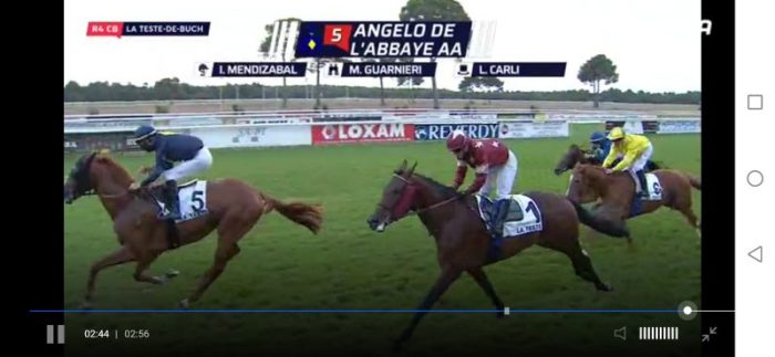 Ippica senese: Guarnieri e Carli vincono a La Teste De Buch il premio per anglo arabi