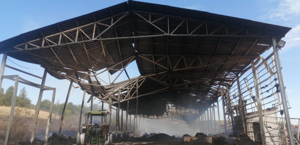 Incendio Suvignano, la pista dolosa si fa sempre pi&ugrave; forte