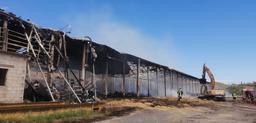 Incendio Suvignano, indagini a 360 gradi: nessuna pista esclusa e alcuni sospetti