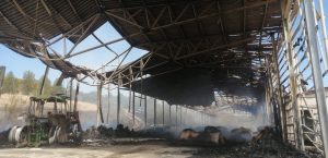Incendio Suvignano, area messa sotto sequestro. L'ipotesi &egrave; di incendio doloso