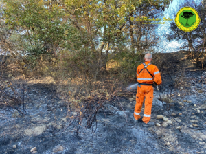 Incendi boschivi: vietato accendere fuochi fino al 13 settembre in Toscana