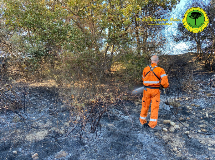 Incendi boschivi: vietato accendere fuochi fino al 13 settembre in Toscana