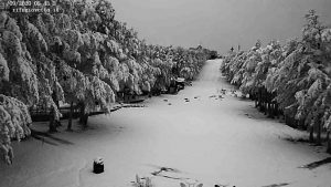 Super nevicata, monte Amiata completamente bianco