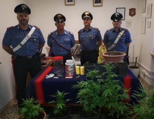 Coltiva piantagione di marijuana in terreno della Curia: arrestato