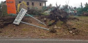 Tromba d'aria colpisce Castelnuovo Berardenga, Comune ringrazia chi ha lavorato nell'emergenza