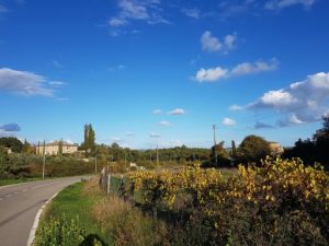 Monteriggioni, progetto "resilienza": potenziamento impianti elettrici, innovazione e sostenibilit&agrave;