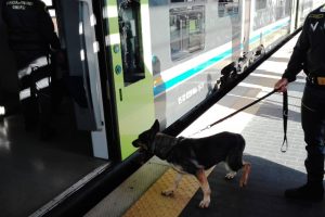 Trasporta hashish, 19enne fermato dal cane antidroga
