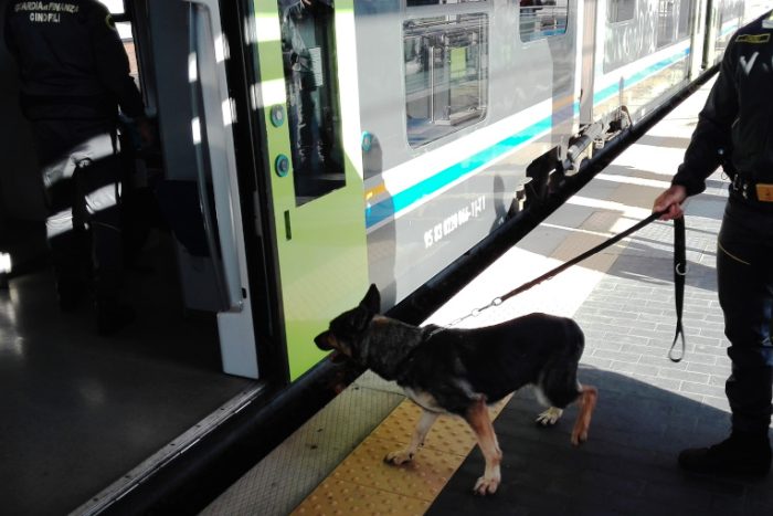 Trasporta hashish, 19enne fermato dal cane antidroga