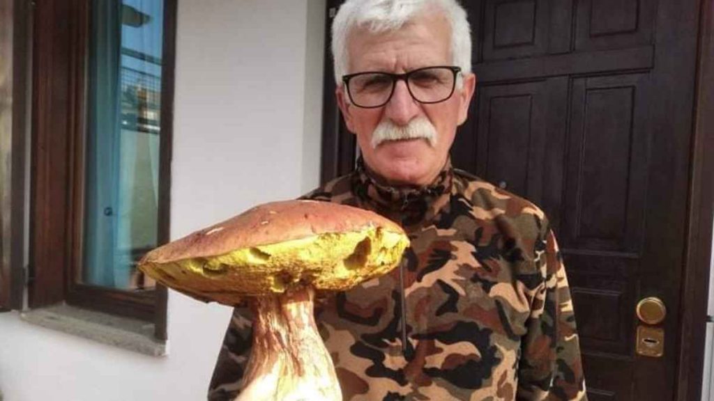 Porcino da record ad Abbadia San Salvatore