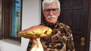 Porcino da record ad Abbadia San Salvatore