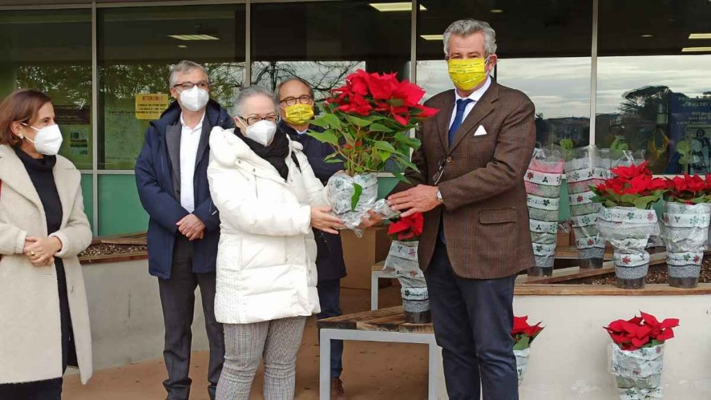 Stelle di Natale in dono agli ospedali toscani