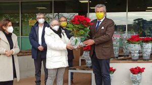 Stelle di Natale in dono agli ospedali toscani