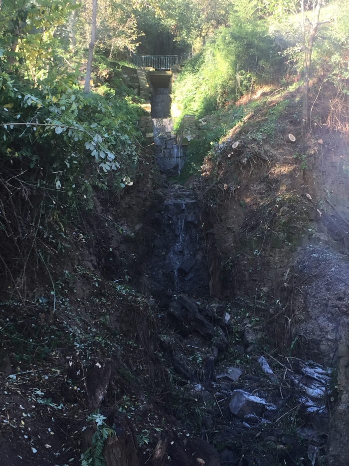 Montalcino, ripulito l'alveo di un corso d'acqua bloccato dalla vegetazione