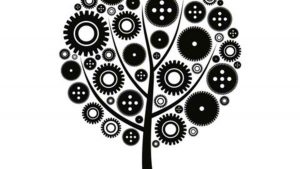 Accademia Minima: "Da Gennaio torneremo a fare teatro, sarà un atto di disobbedienza"