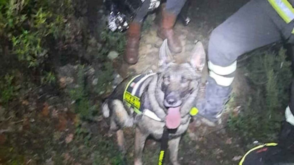 80enne si perde nel bosco, ritrovato dall'unit&agrave; cinofila