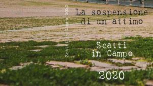 "Scatti in Campo 2020": arriva il volume del Consorzio per la Tutela del Palio