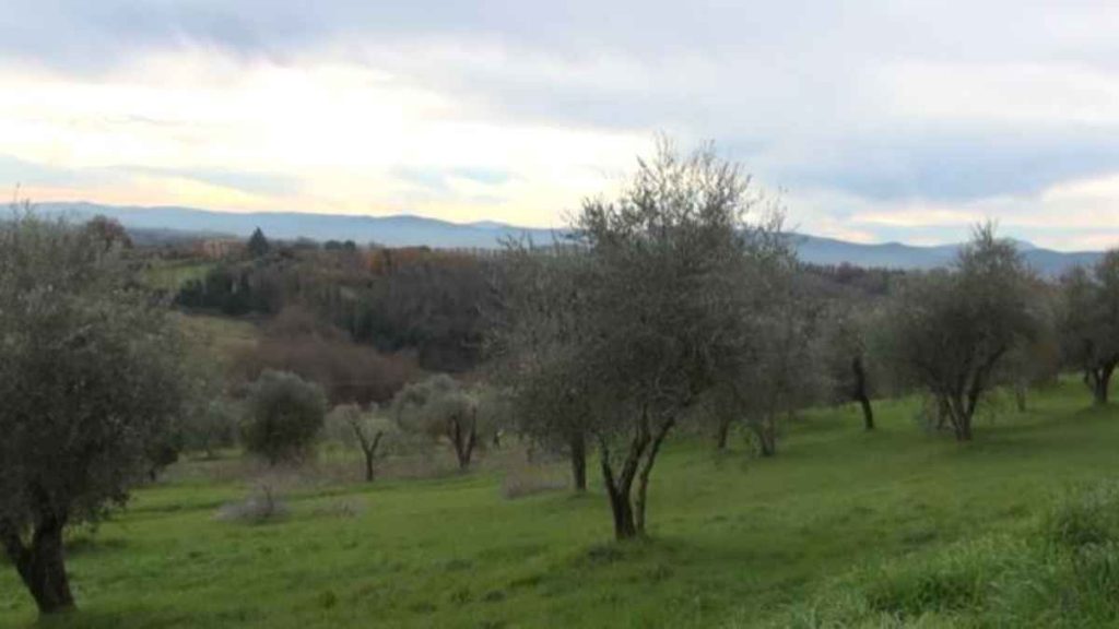 Bracconaggio: spari al Parco di Belcaro a pochi metri dalle abitazioni