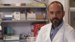 Morbillo, Montomoli: “Basta demonizzare i vaccini”