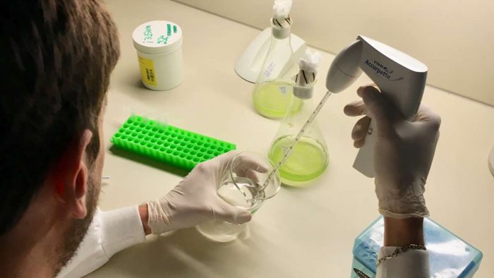 Depurazione acque e nanotecnologie, progetto all'avanguardia dell'Universit&agrave; di Siena
